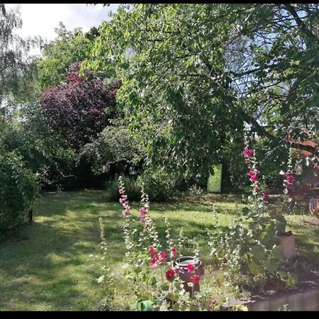 Geraeumiges 120M² Haus Mit Garten + Stellplatz Stralsund Dış mekan fotoğraf