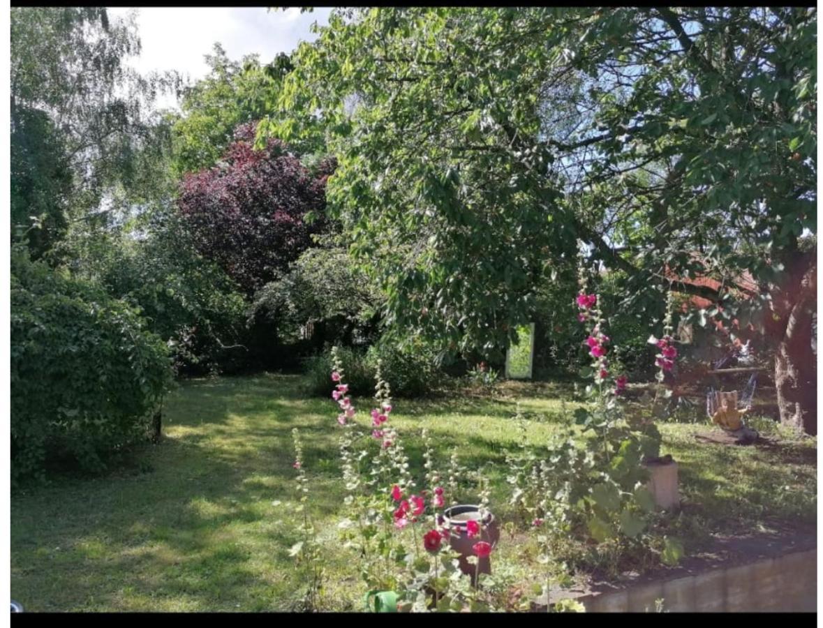 Geraeumiges 120M² Haus Mit Garten + Stellplatz Stralsund Dış mekan fotoğraf